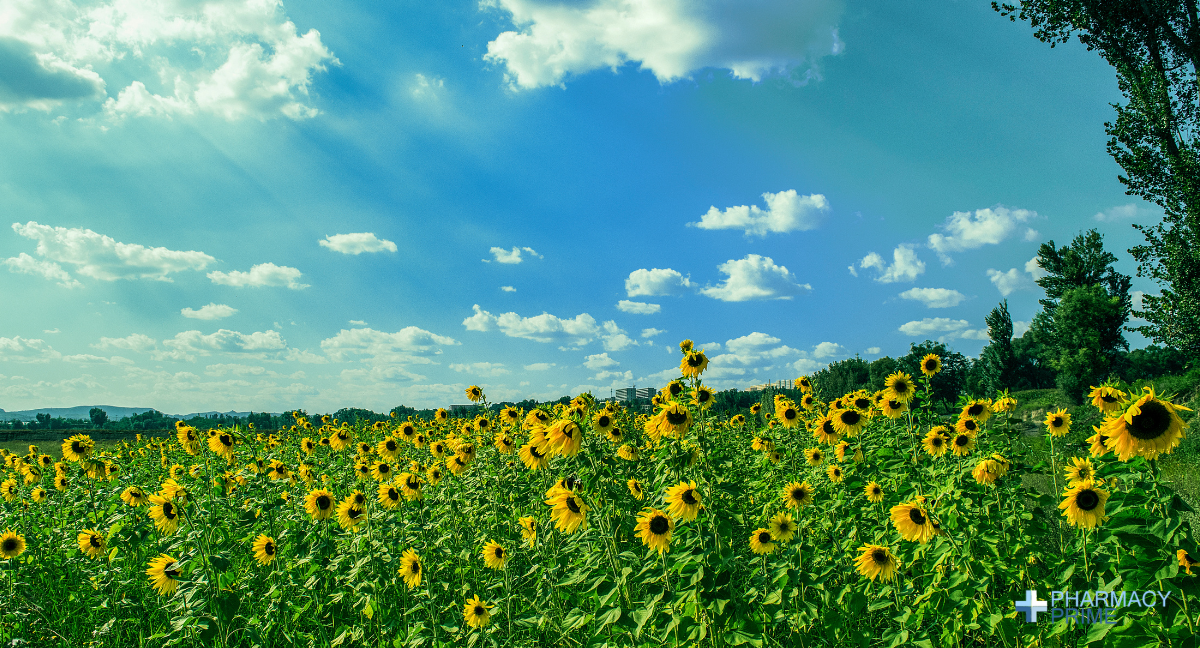 Summer